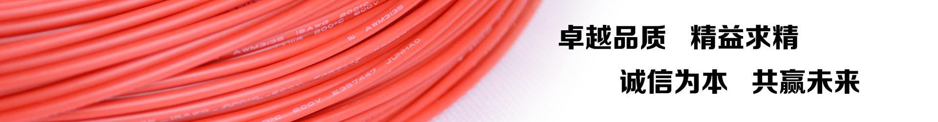 必赢网络游戏平台电线