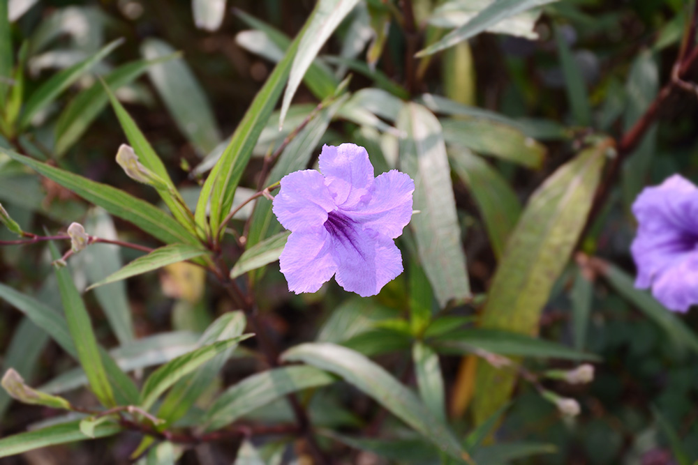 首页|必赢网络游戏平台官方网站