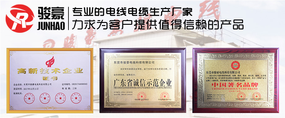 必赢网络游戏平台电线声誉